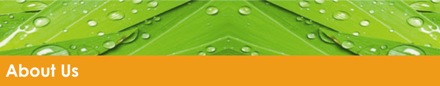 Lawnscience Franchise